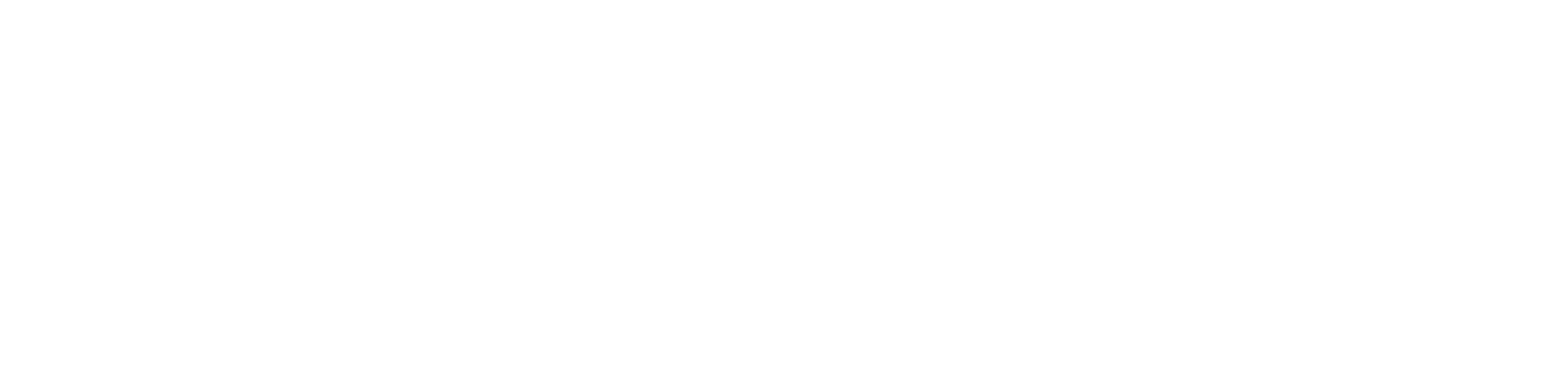 Cardverse Collectibles logo
